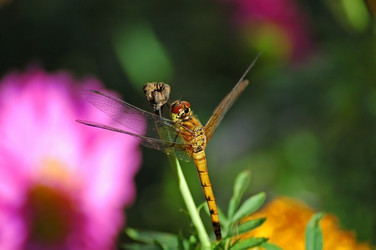 Similar image 830921