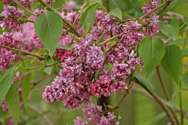 Similar image 830928