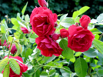 Similar image 830930