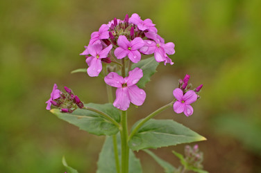 Similar image 830937