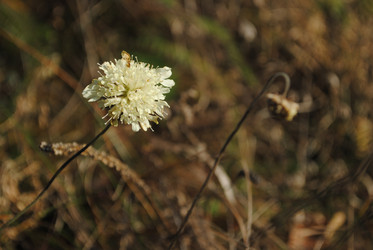 Similar image 830939