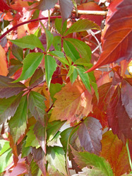 Similar image 830979