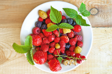 Similar image 831002