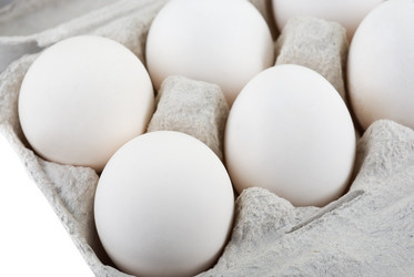 Similar image 831023