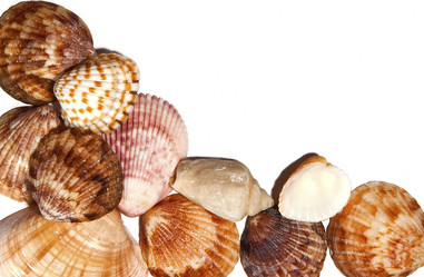 Similar image 831050