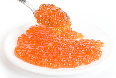 Similar image 831053