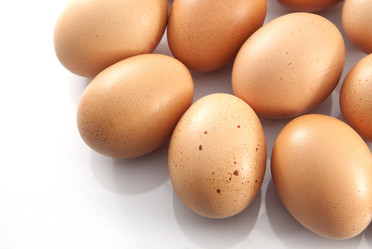 Similar image 831054