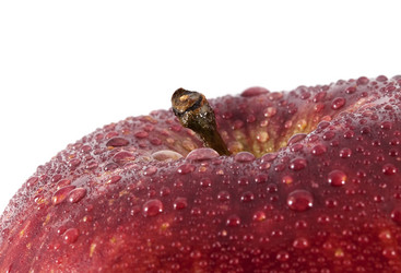 Similar image 831062