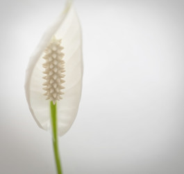 Similar image 831083