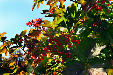 Similar image 831112