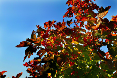 Similar image 831113