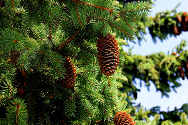 Similar image 831221