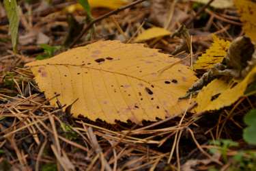 Similar image 831225