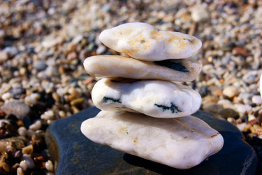 Similar image 831229