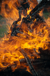 Similar image 831234