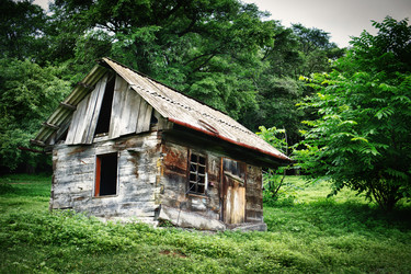 Similar image 831239