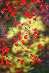 Similar image 831242