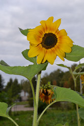 Similar image 831257