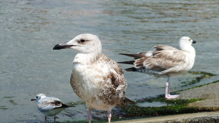 Similar image 831359