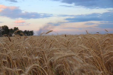 Similar image 831372