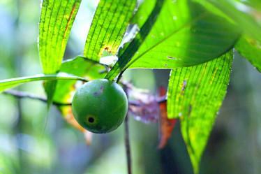 Similar image 831454