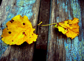 Similar image 831469