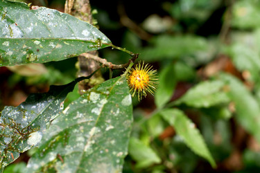 Similar image 831471