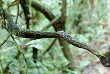 Similar image 831475