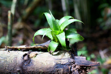 Similar image 831483