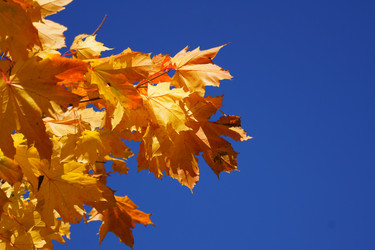 Similar image 831504