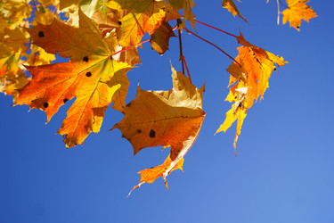 Similar image 831513