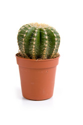 Similar image 831516