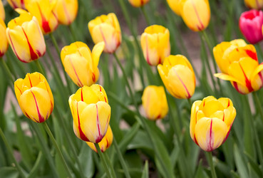 Similar image 831525