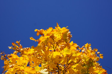 Similar image 831526