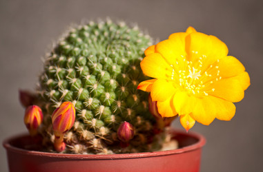 Similar image 831527