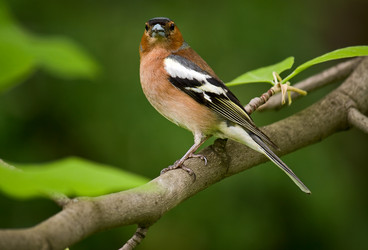 Similar image 831533