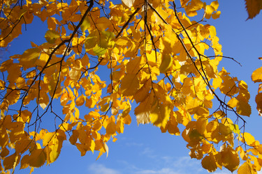 Similar image 831534