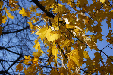 Similar image 831550