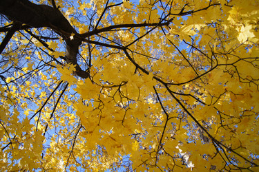 Similar image 831553