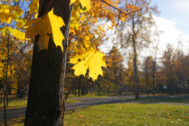 Similar image 831561