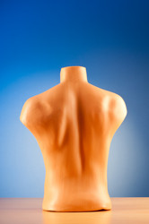 Similar image 831573