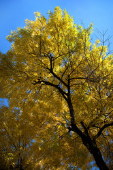 Similar image 831583