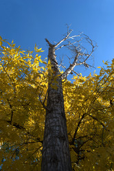 Similar image 831587