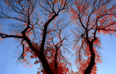 Similar image 831588