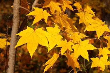 Similar image 831636