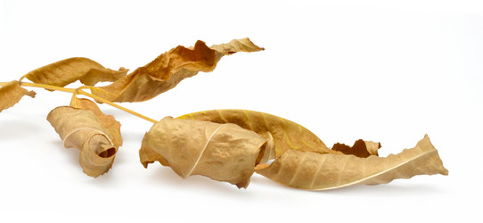 Similar image 831643