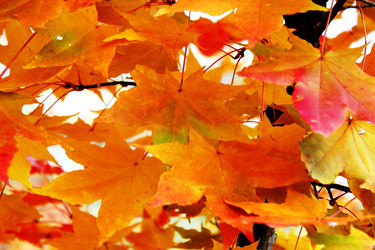 Similar image 831645