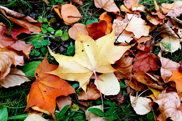 Similar image 831646