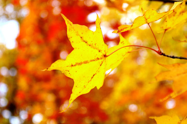 Similar image 831647