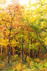 Similar image 831648